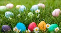 Children's Easter Egg Hunt